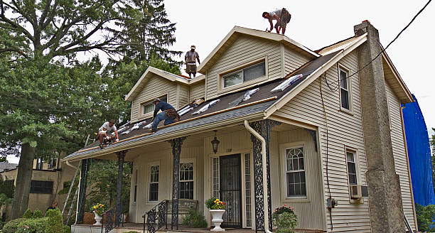 Best Roof Gutter Cleaning  in Tomball, TX